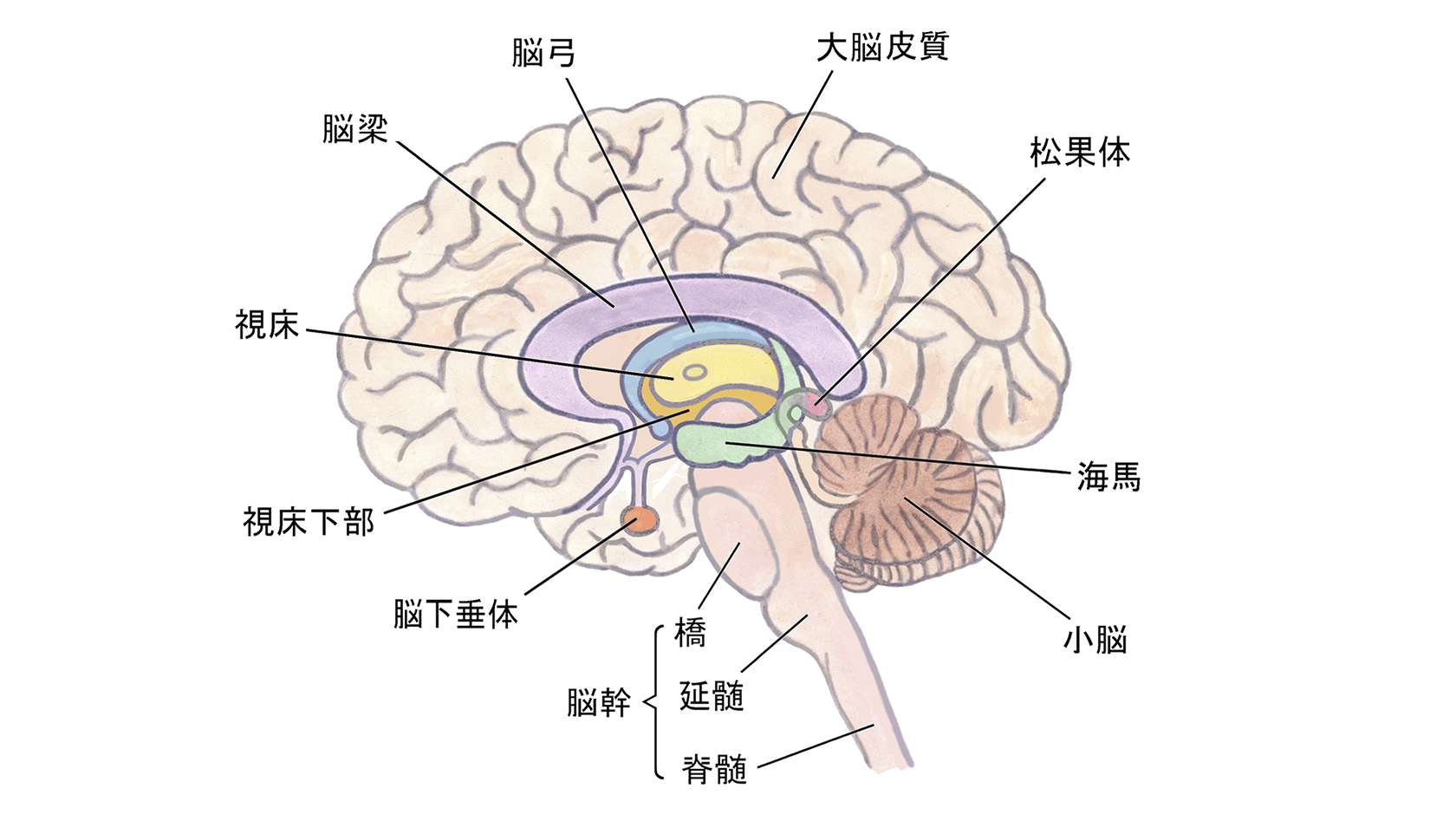 銀座 飛雁閣『Salon de Higankaku“News & Olds”』Trivia Line「前菜」①